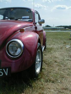 Zdjęcie 58
