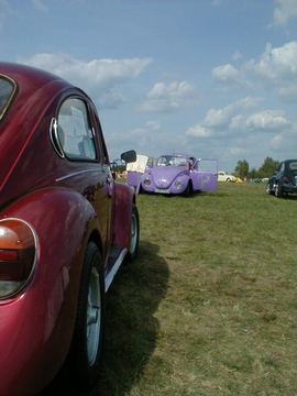 Zdjęcie 62