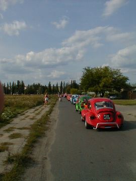 Zdjęcie 65
