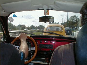 Zdjęcie 80