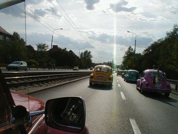 Zdjęcie 81