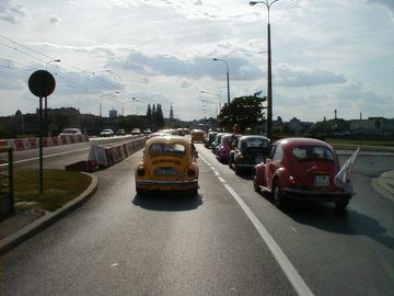Zdjęcie 83