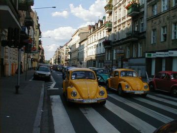 Zdjęcie 91
