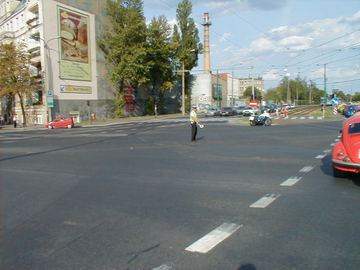 Zdjęcie 95
