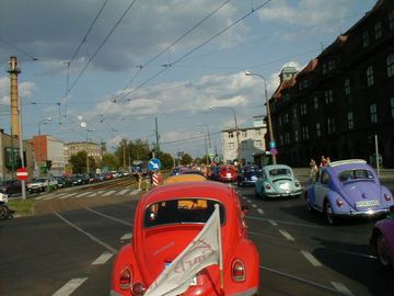 Zdjęcie 96