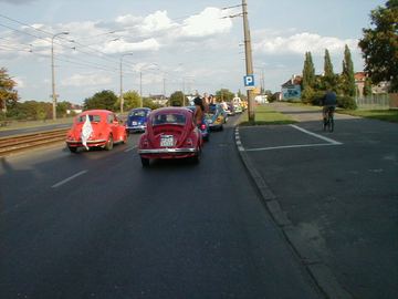 Zdjęcie 97