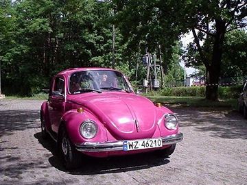 Zdjęcie 40