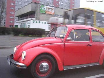 Zdjęcie 12