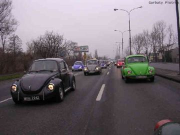 Zdjęcie 16