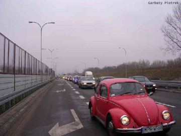 Zdjęcie 23