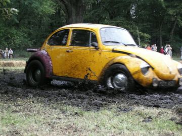 Zdjęcie 40