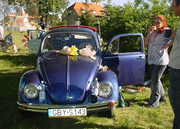 Zdjęcie 51