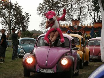 Zdjęcie 58