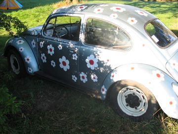 Zdjęcie 6