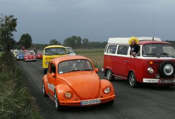 Zdjęcie 66