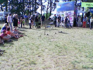 Zdjęcie 111