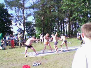 Zdjęcie 119