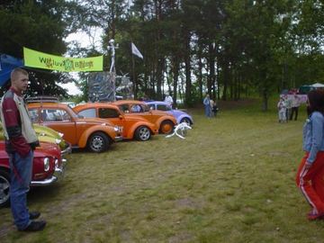 Zdjęcie 155