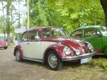Zdjęcie 164