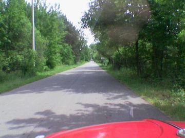 Zdjęcie 67