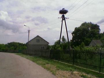 Zdjęcie 68