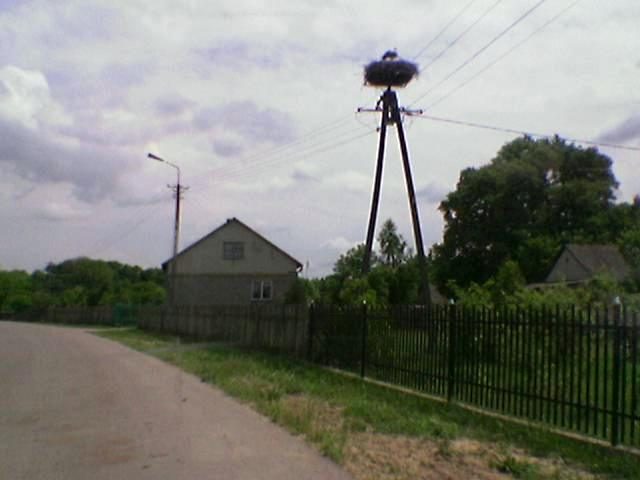 Kosmiczny Zlot - Łacha – zdjęcie 68