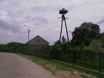 Zdjęcie 80