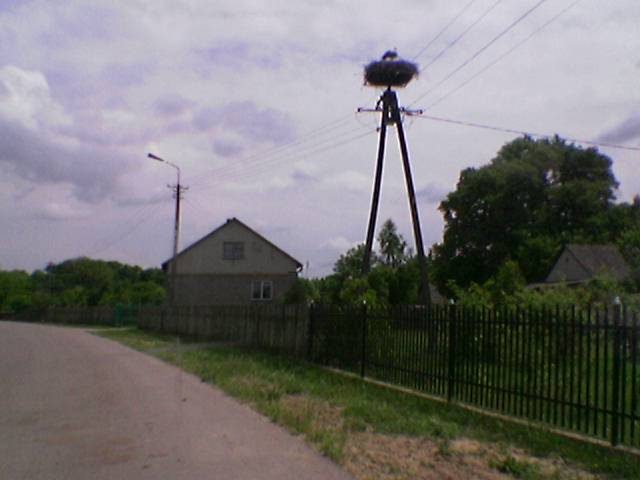 Kosmiczny Zlot - Łacha – zdjęcie 80