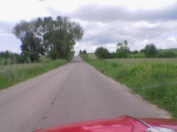 Zdjęcie 82
