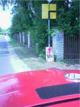 Zdjęcie 85