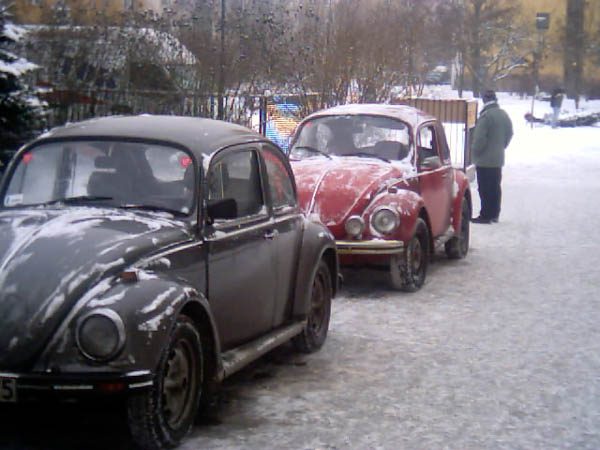 Mandarynka 2004 – zdjęcie 13