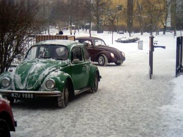 Zdjęcie 16