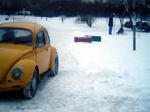 Mandarynka 2004 – zdjęcie 19