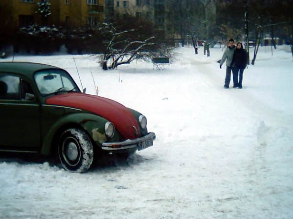 Mandarynka 2004 – zdjęcie 20