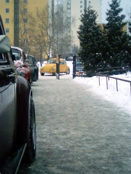 Mandarynka 2004 – zdjęcie 23