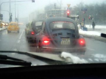 Zdjęcie 28