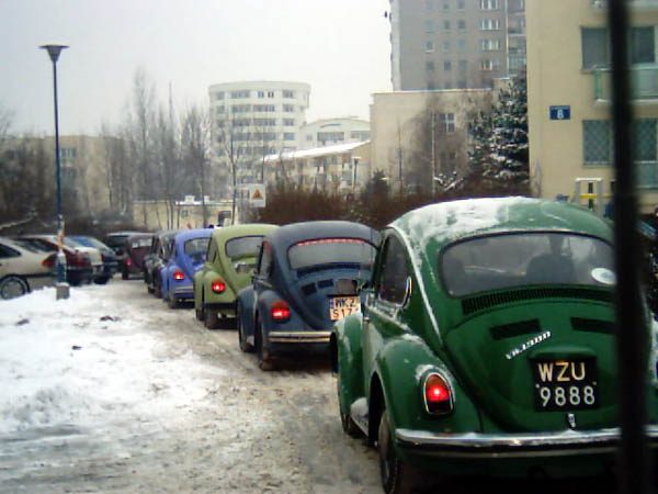 Mandarynka 2004 – zdjęcie 30