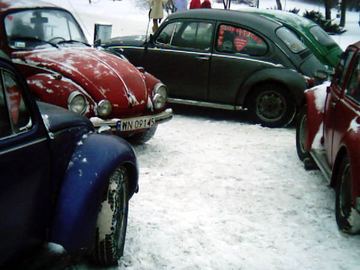 Zdjęcie 42