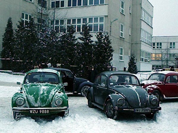 Mandarynka 2004 – zdjęcie 5