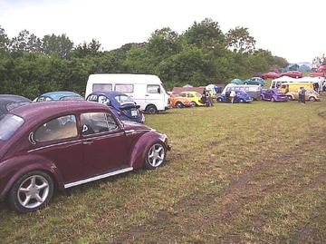 Zdjęcie 12