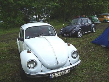 Zdjęcie 28