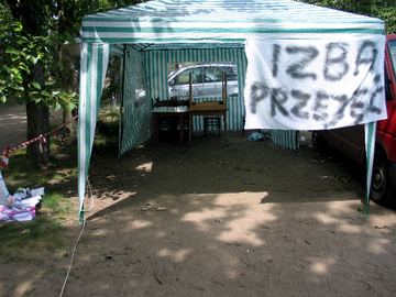 Zdjęcie 114