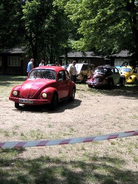 Zdjęcie 116