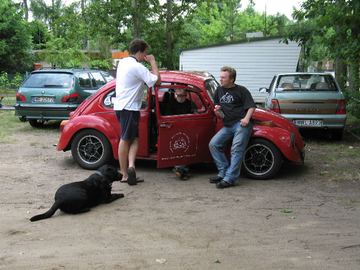 Zdjęcie 137