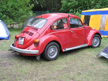Zdjęcie 182