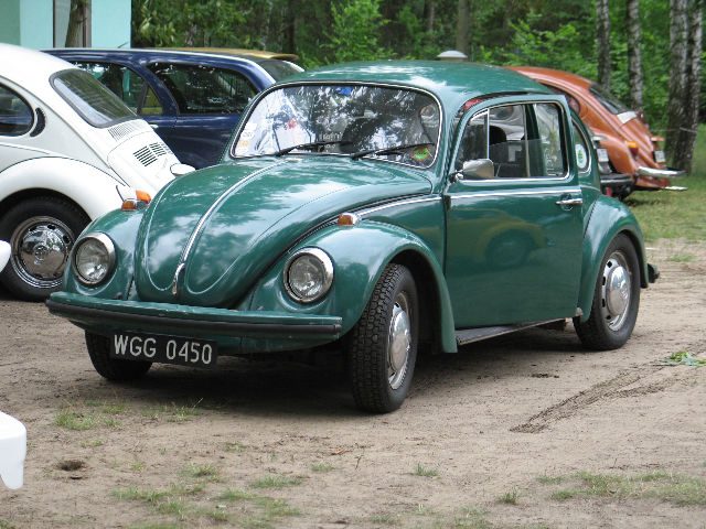 Garbaci VWariaci - Łacha – zdjęcie 192