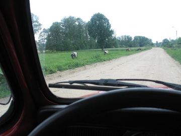Zdjęcie 201