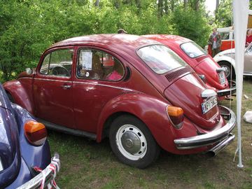 Zdjęcie 213