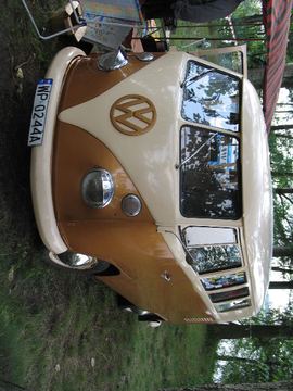 Zdjęcie 219