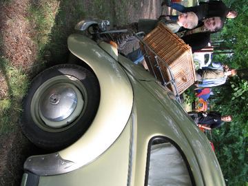 Zdjęcie 224